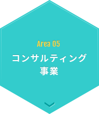 Area 05 コンサルティング事業