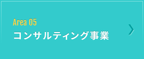 Area 05 コンサルティング事業